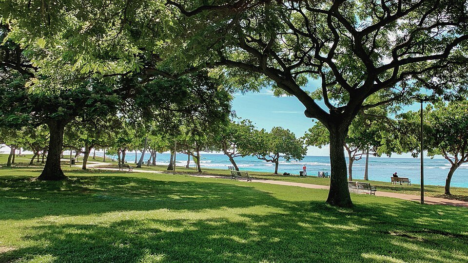 Shade trees on Magic Island, the ocean beyond