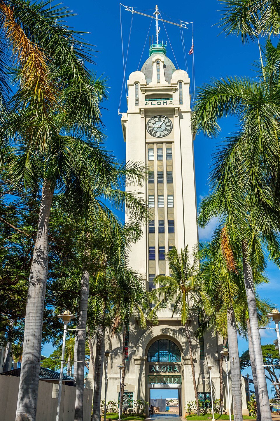 Aloha Tower rising above the palms