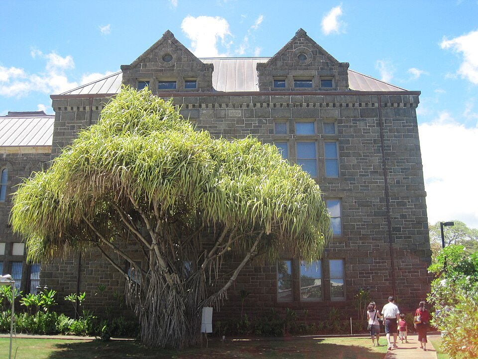 Hawaiian Hall behind a spreading hala tree