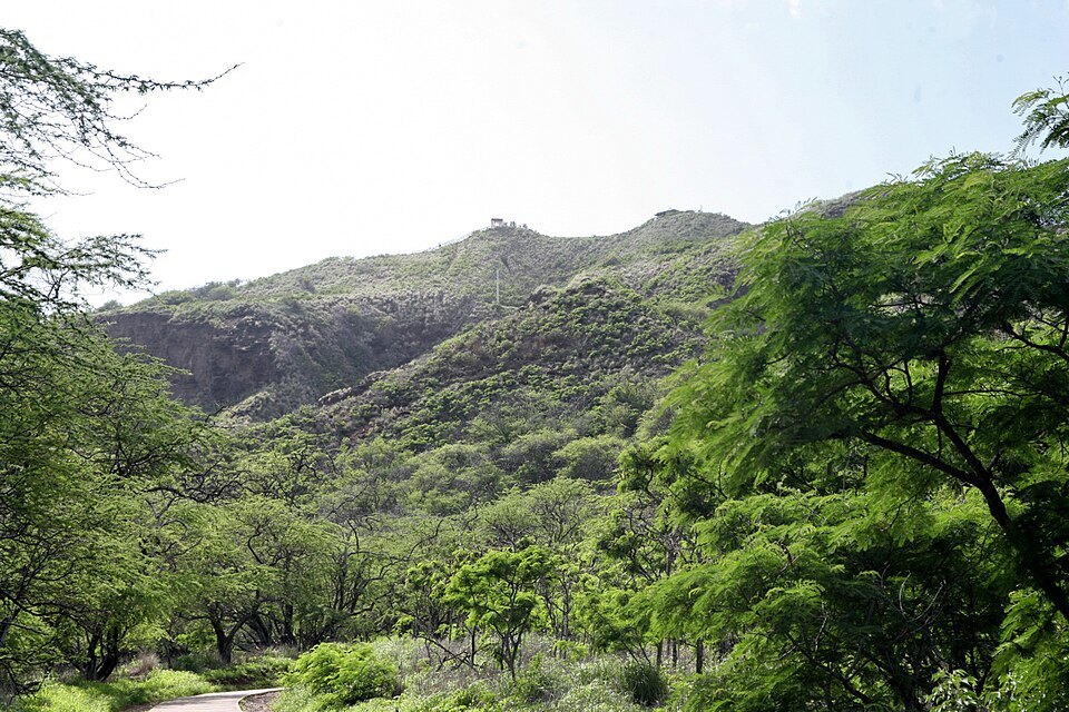 The start of the trail, the green crater wall above