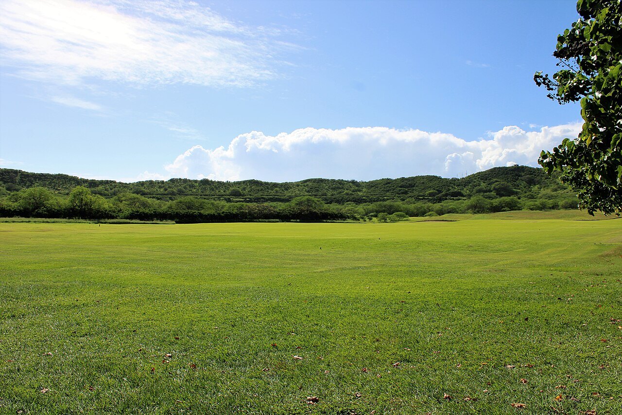 The grassy floor inside Diamond Head crater