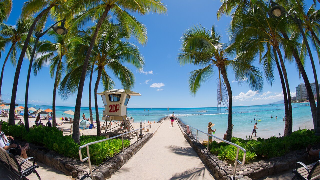 Where can beginners swim safely in Honolulu?