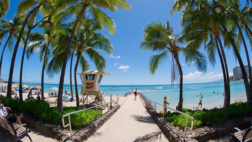 Where can beginners swim safely in Honolulu?