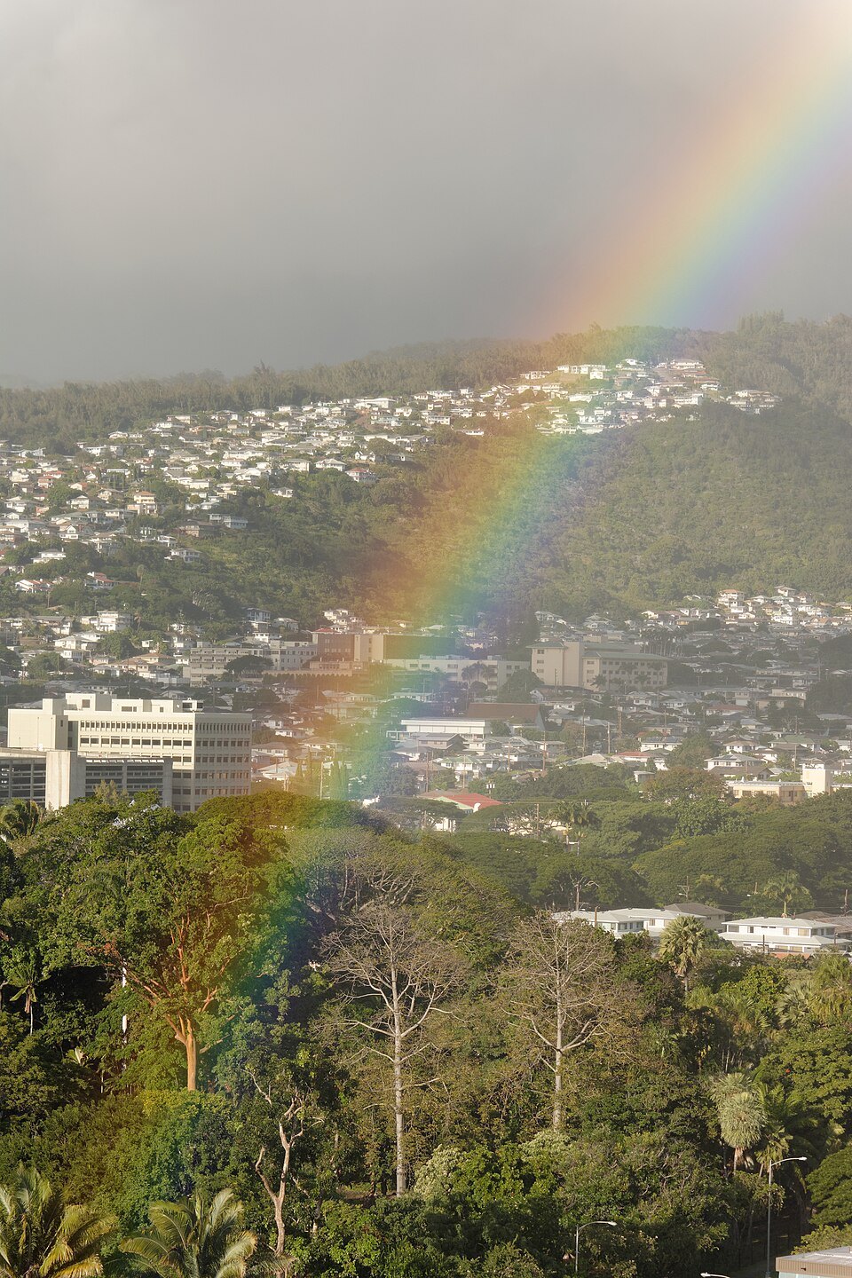 A rainbow over the green slopes of a valley