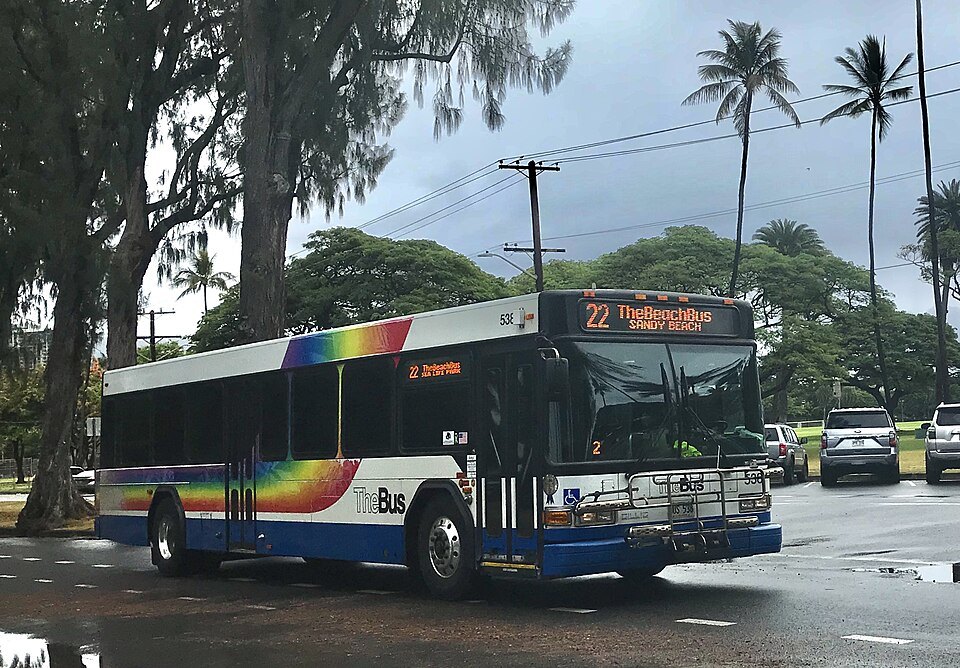 A TheBus coach under the monkeypod trees