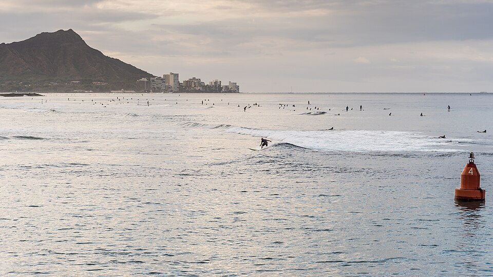 Surfers waiting off Waikīkī in the early light, Diamond Head beyond