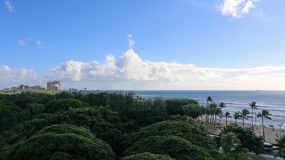 The park's trees and the Waikīkī shore from above