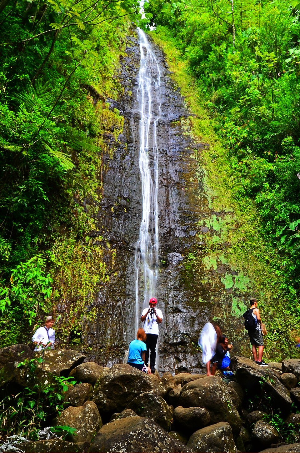 Mānoa Falls, walkers at the pool below it
