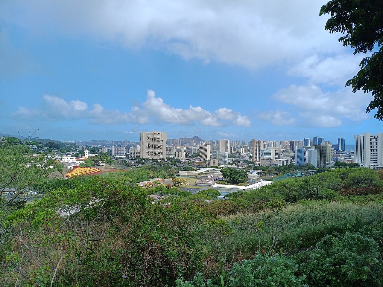 The Sights of Honolulu, Between the Reef and the Ridge